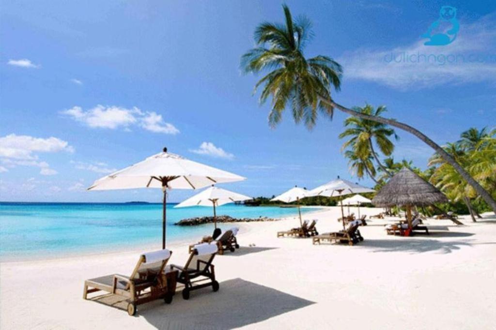 Nhatrang Cozy Hotel Nha Trang Zewnętrze zdjęcie